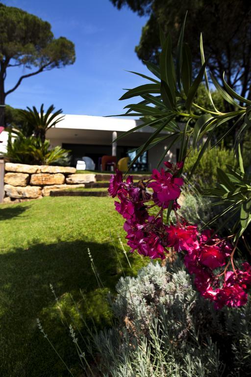 Villa Californie Sainte-Maxime Esterno foto